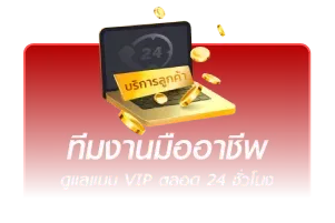 ทีมงานอาชีพ
